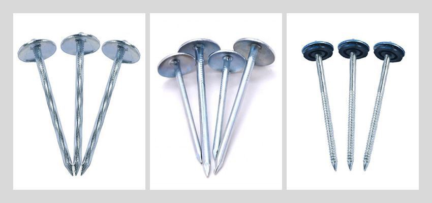 Galvanized Smooth Shank Roofing Nails types