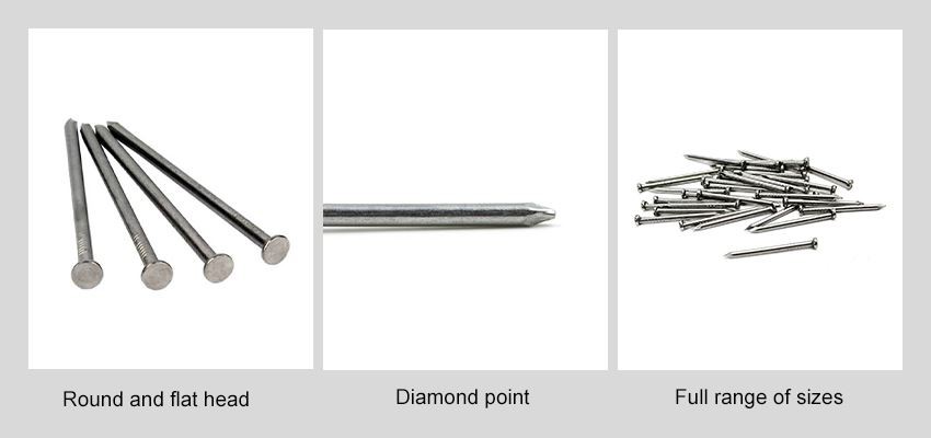 Common Iron Wire Nails Types
