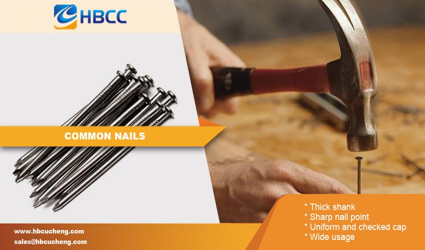 electro galvanized common nails advantage