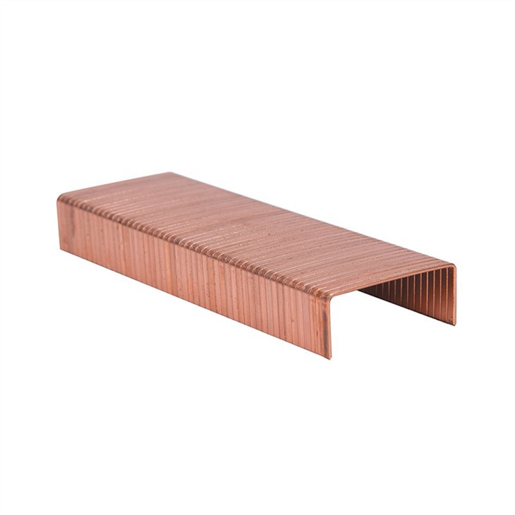 Kwiv  Carton Staples