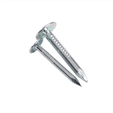 Electro galvanize tèt plat klou klou