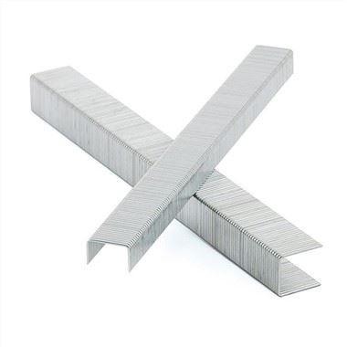 Staples galvanize
